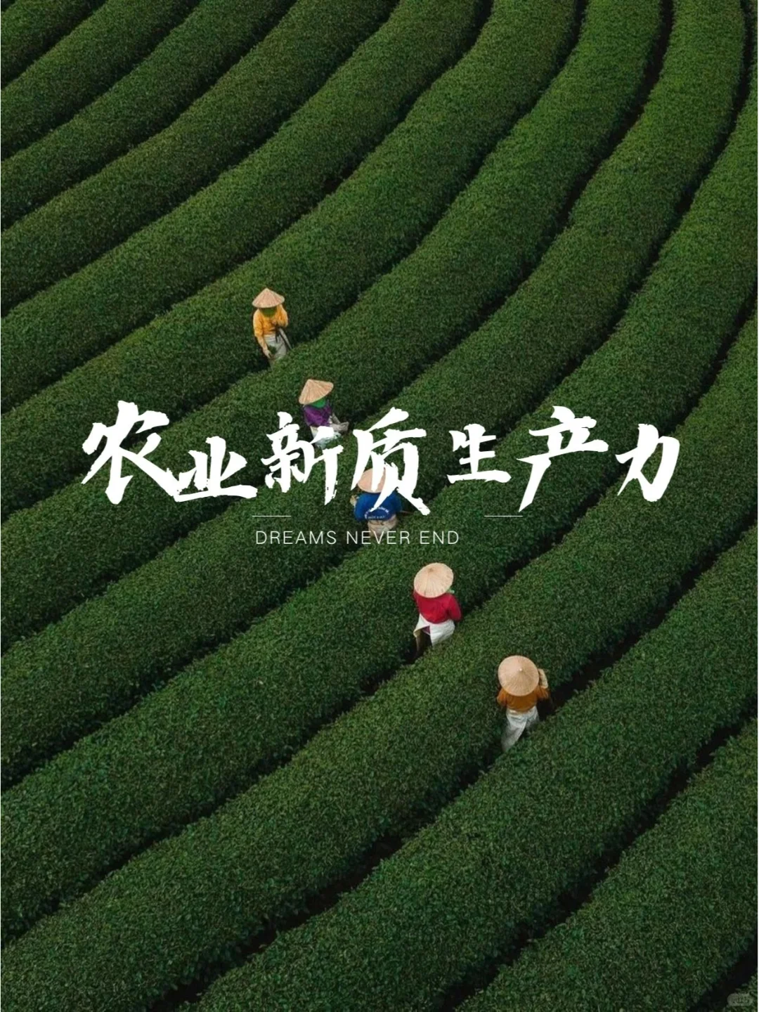 农业新质生产力如何理解？