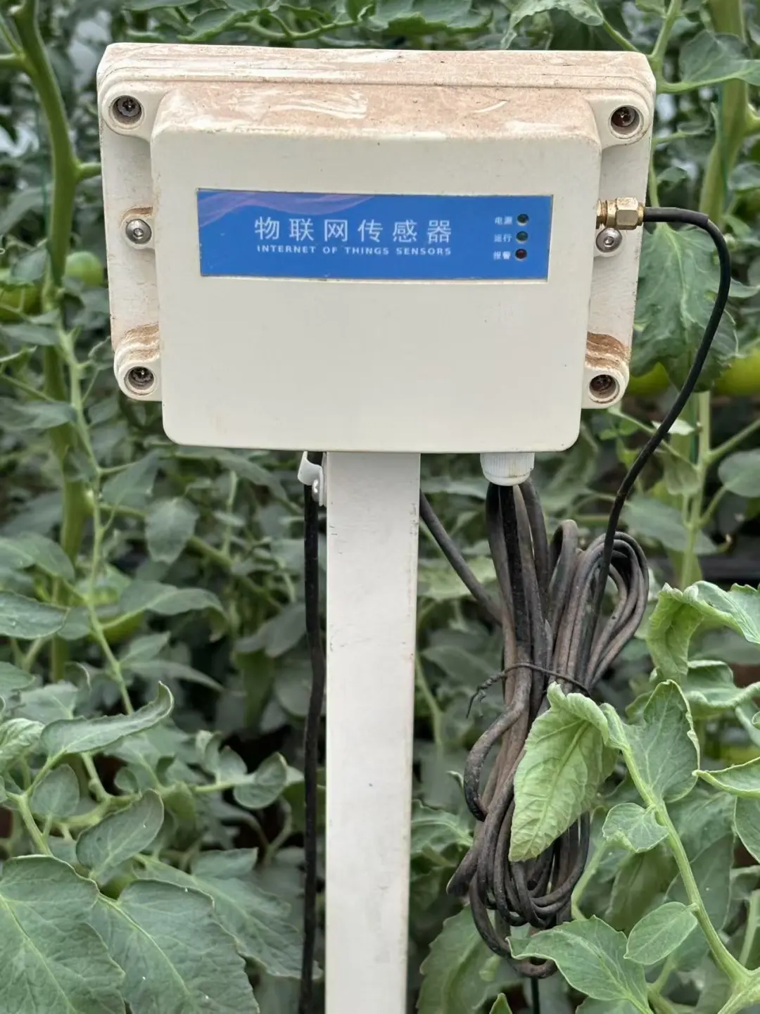 一文看懂智慧农场?