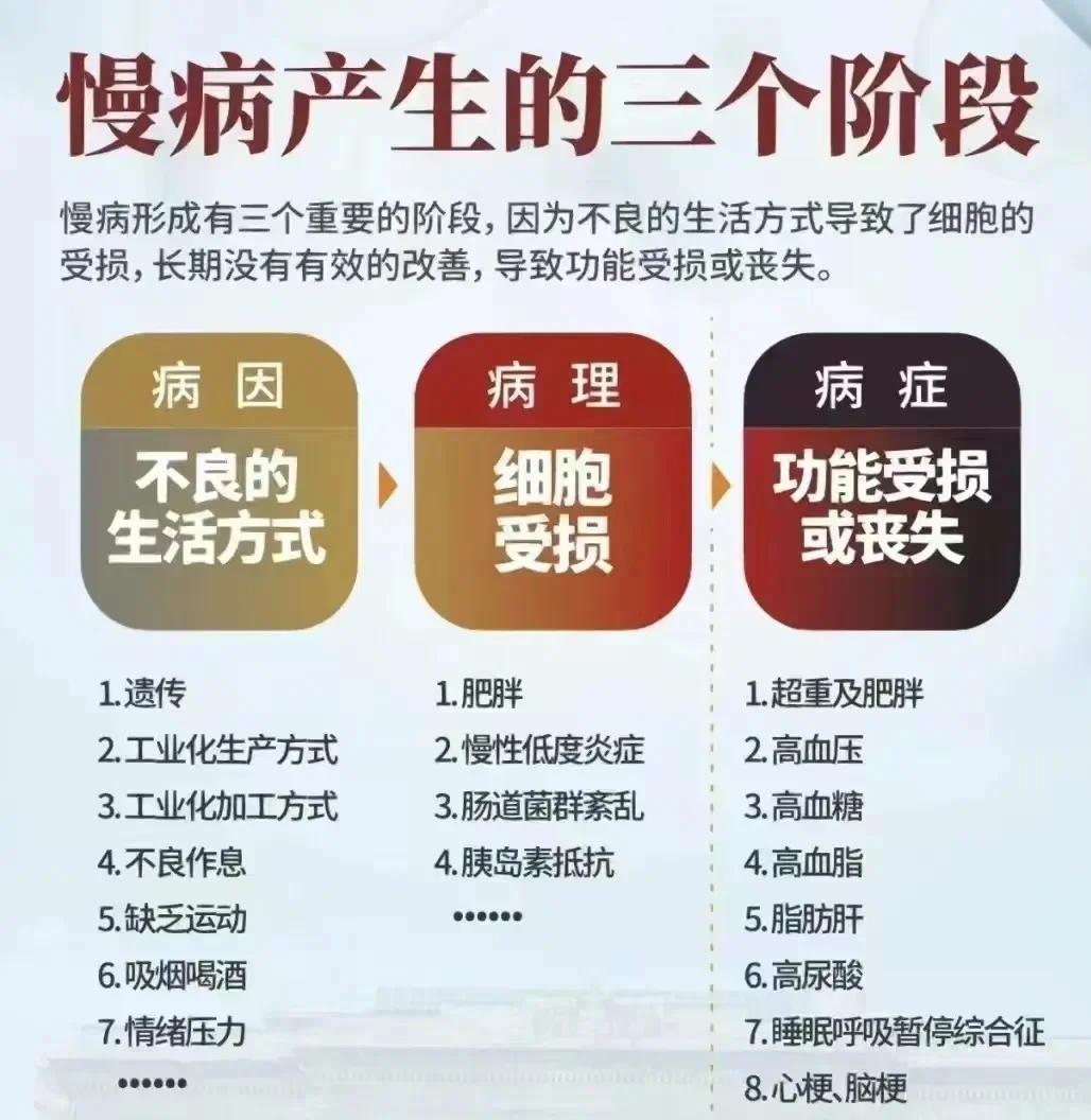 【健康管理的五个层级】：