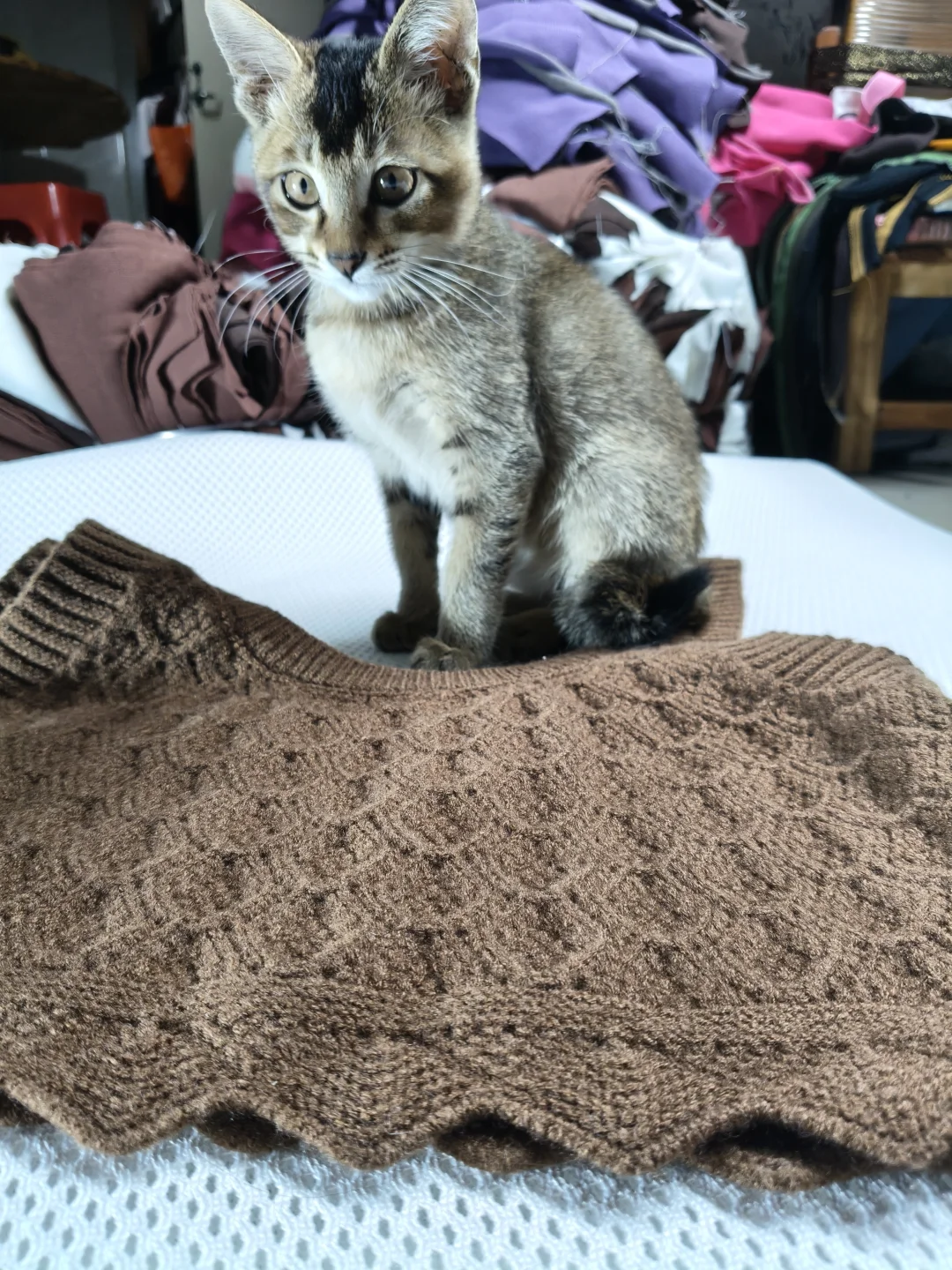 服装工厂供应链