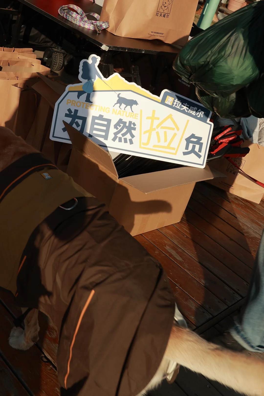 带狗净山被拉夫威尔狠狠圈粉！！