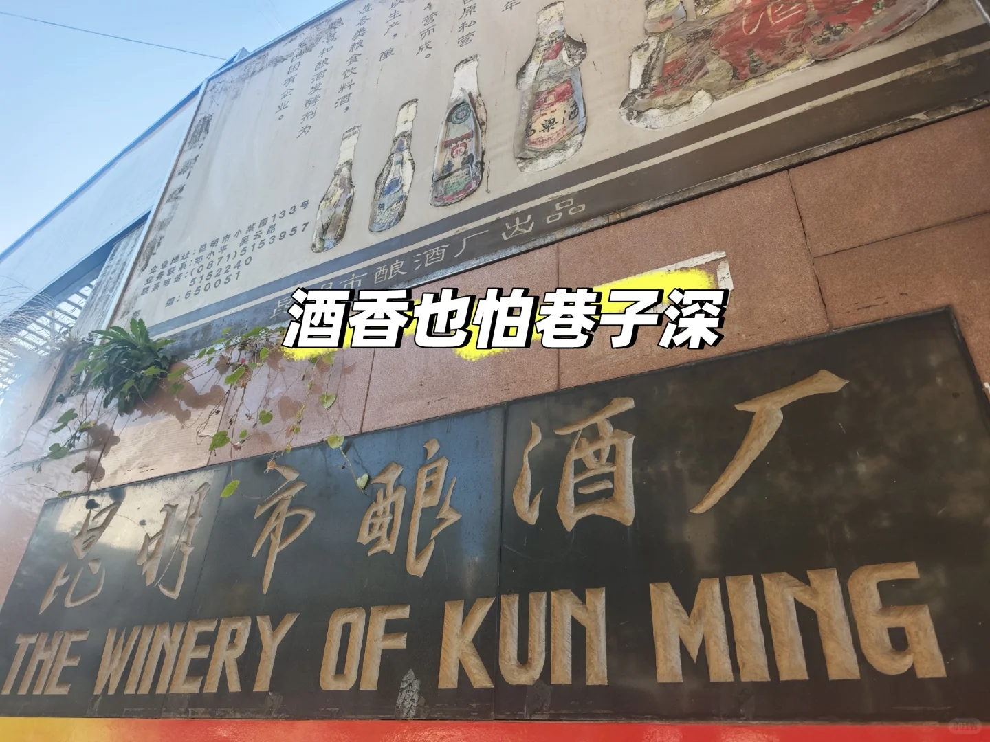 昆明市酿酒厂，你们的酒好卖吗？