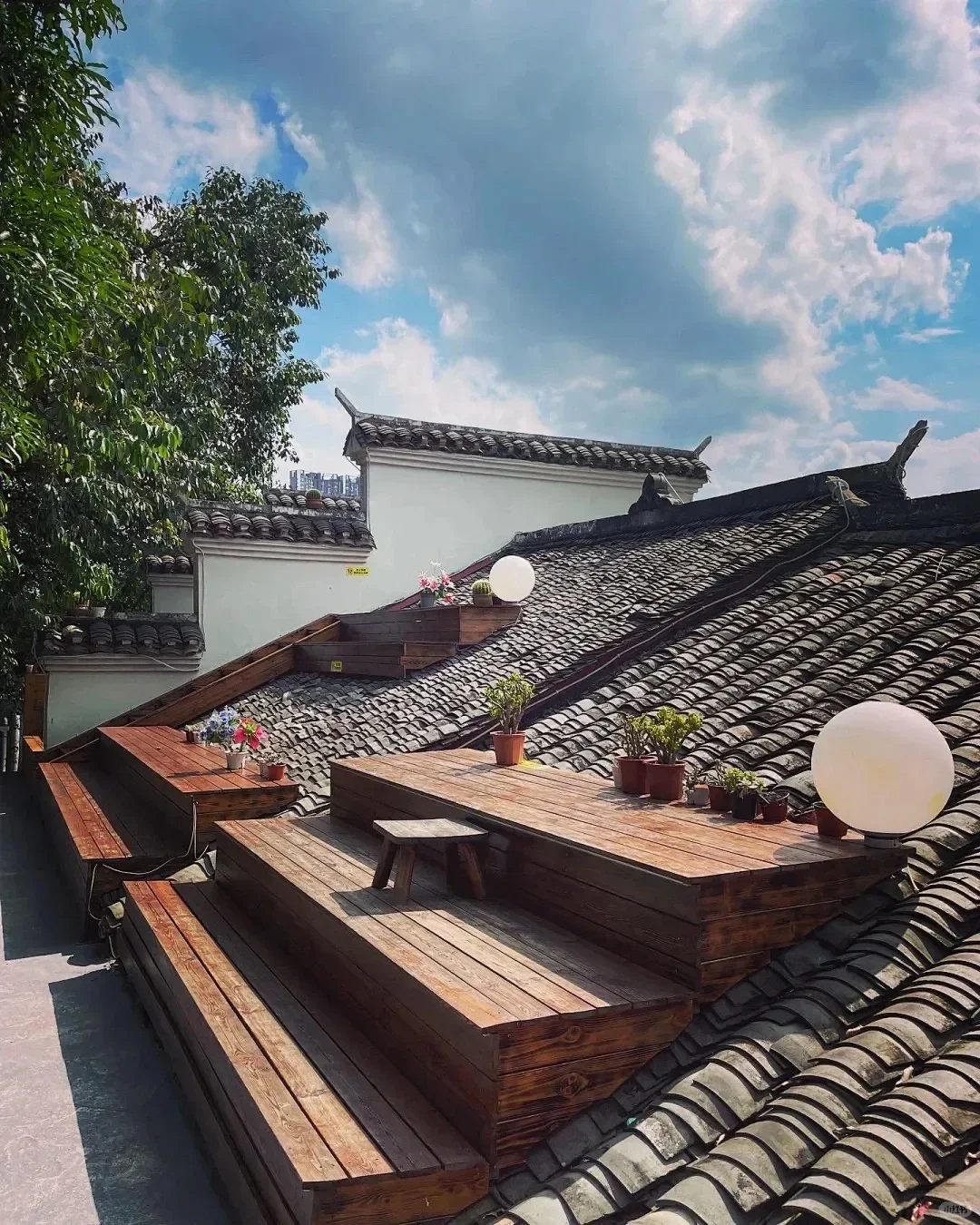 ✨逃离城市！超治愈的乡村文旅玩法?