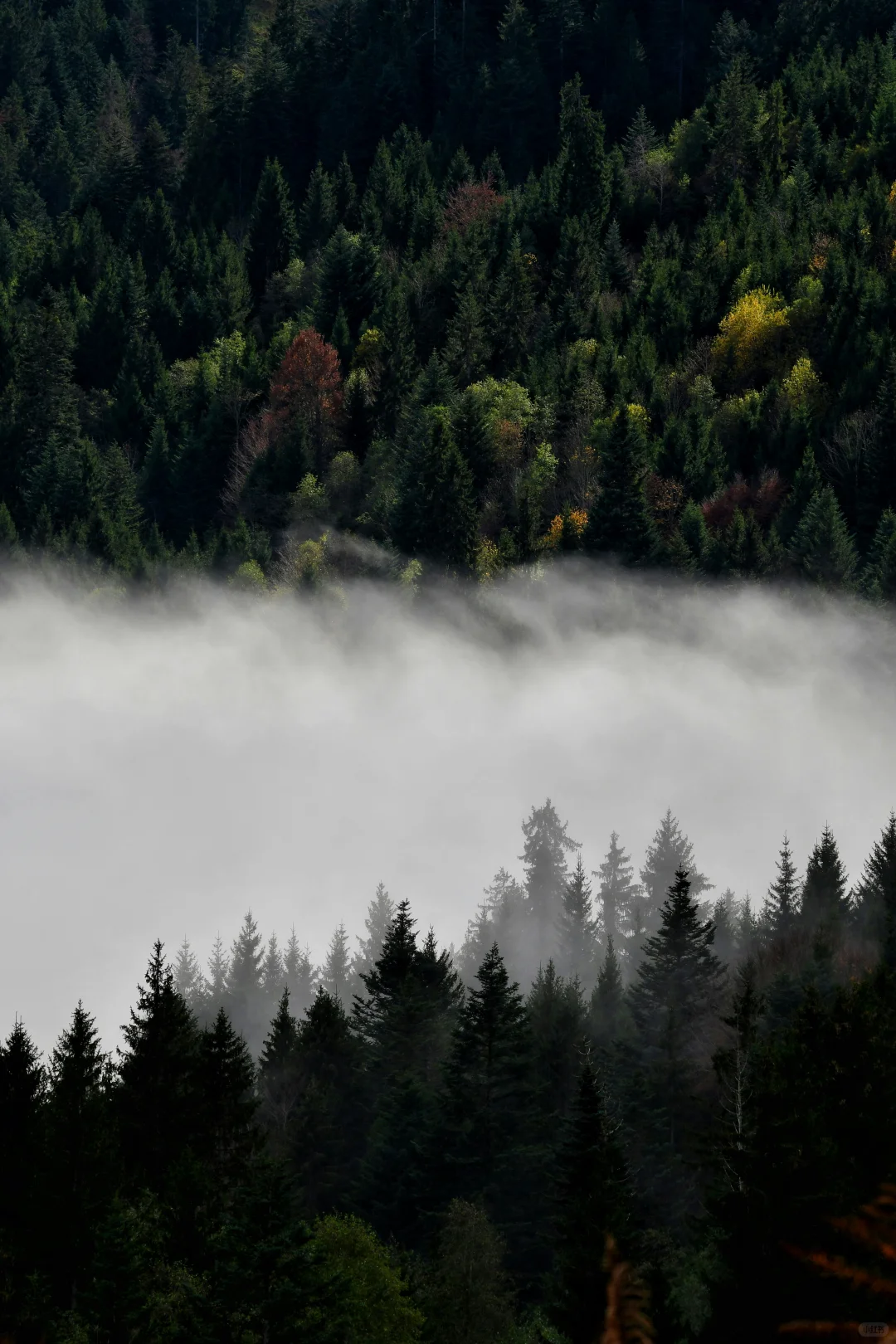 大食物观⛰️❄️?