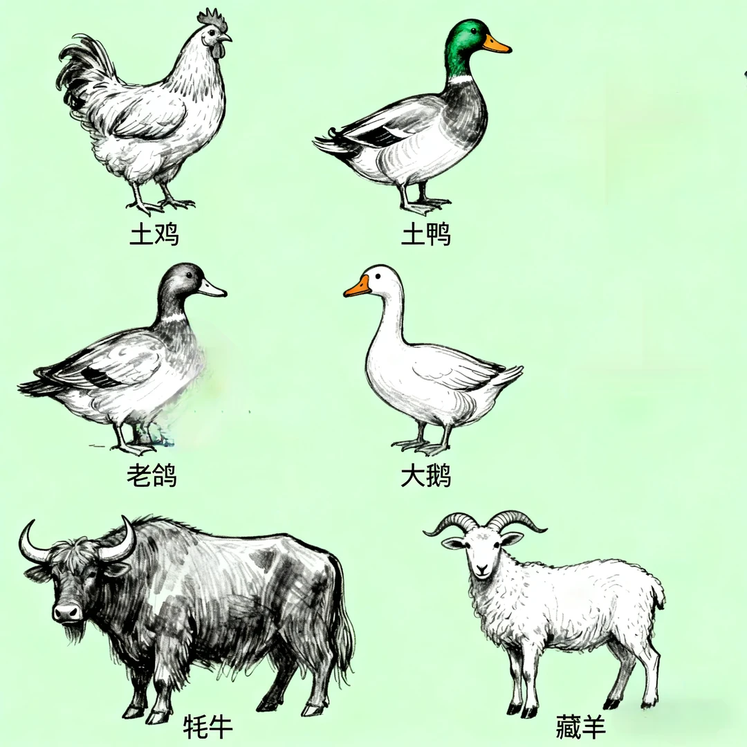 有多少人喜欢健康养生农产品滋补品呢