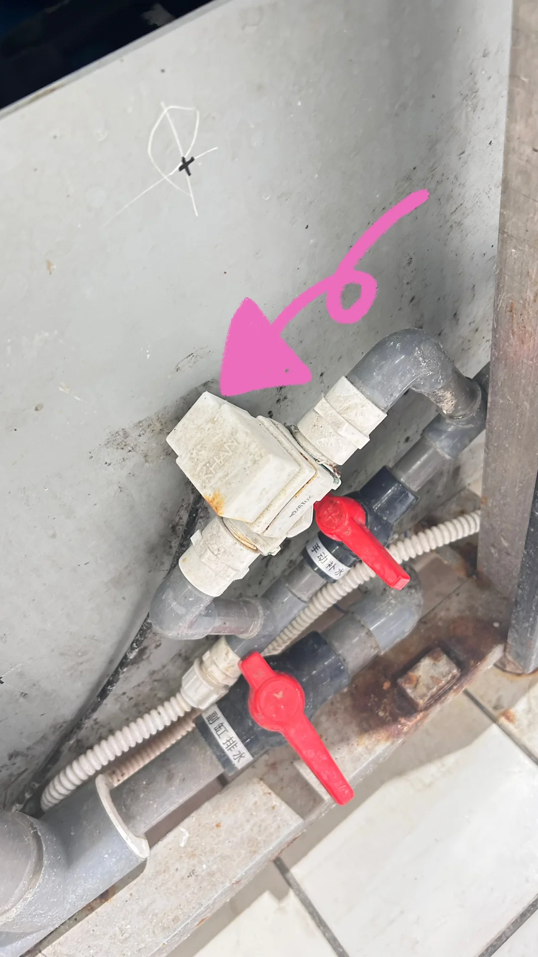 超市水产摊位，这是啥玩意儿？