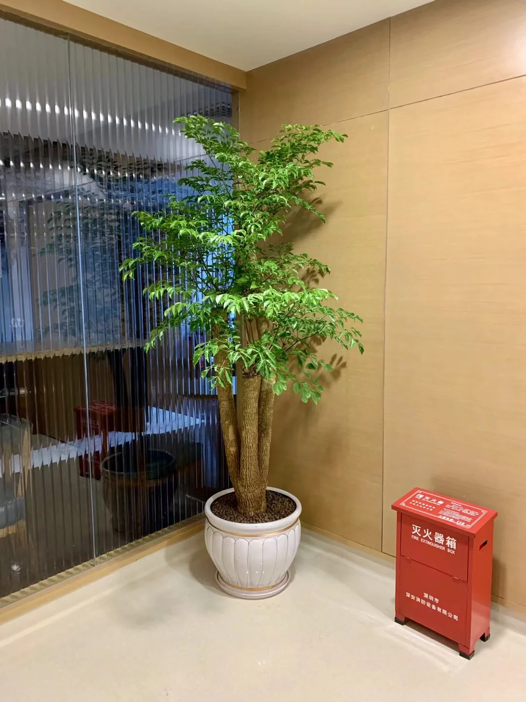 深圳绿植租赁批发，可上门设计出方案。