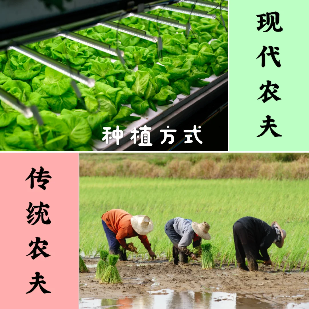 ??未来农业的新面貌！！！