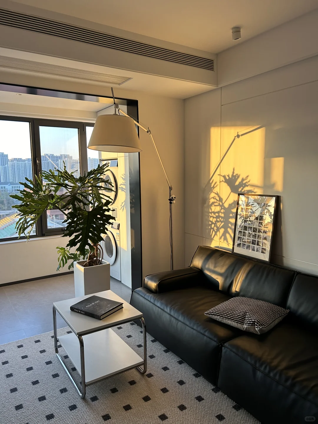 家里不能没有绿植！