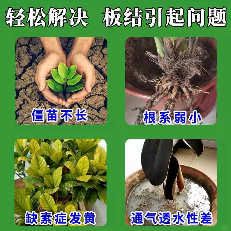 拯救板结土壤这款土壤活化剂让植物重获新生