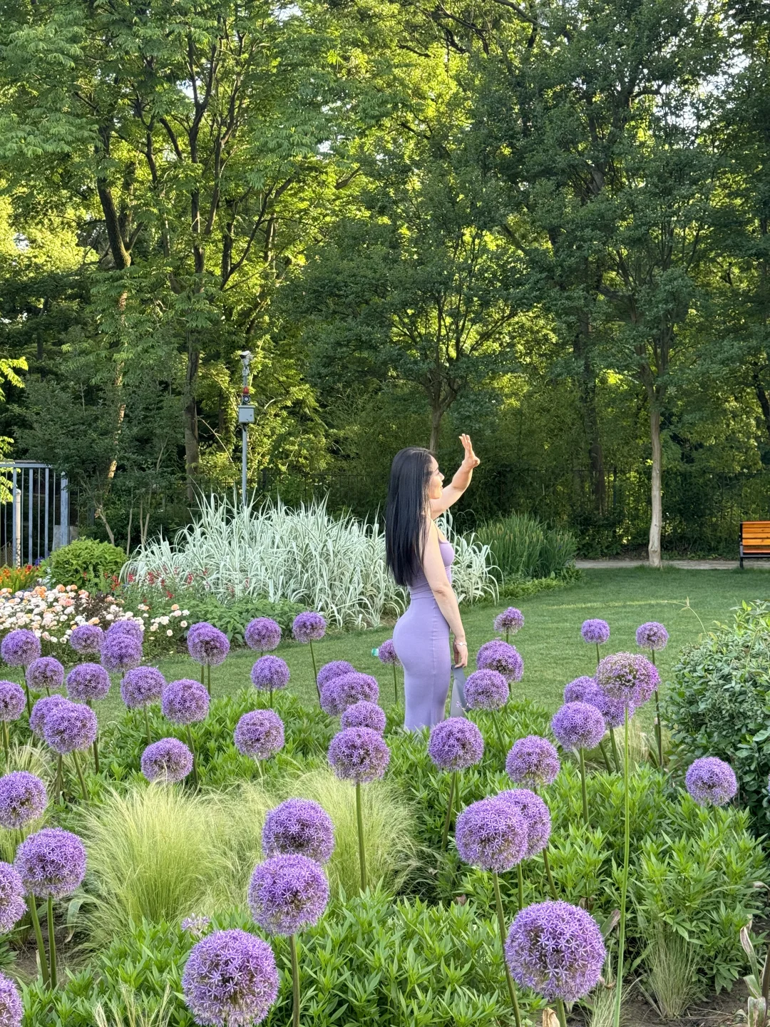 live图｜南京植物园，原来大葱花可以这么美