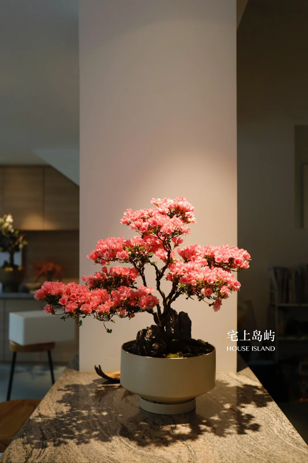 年花设计｜珍珠杜鹃