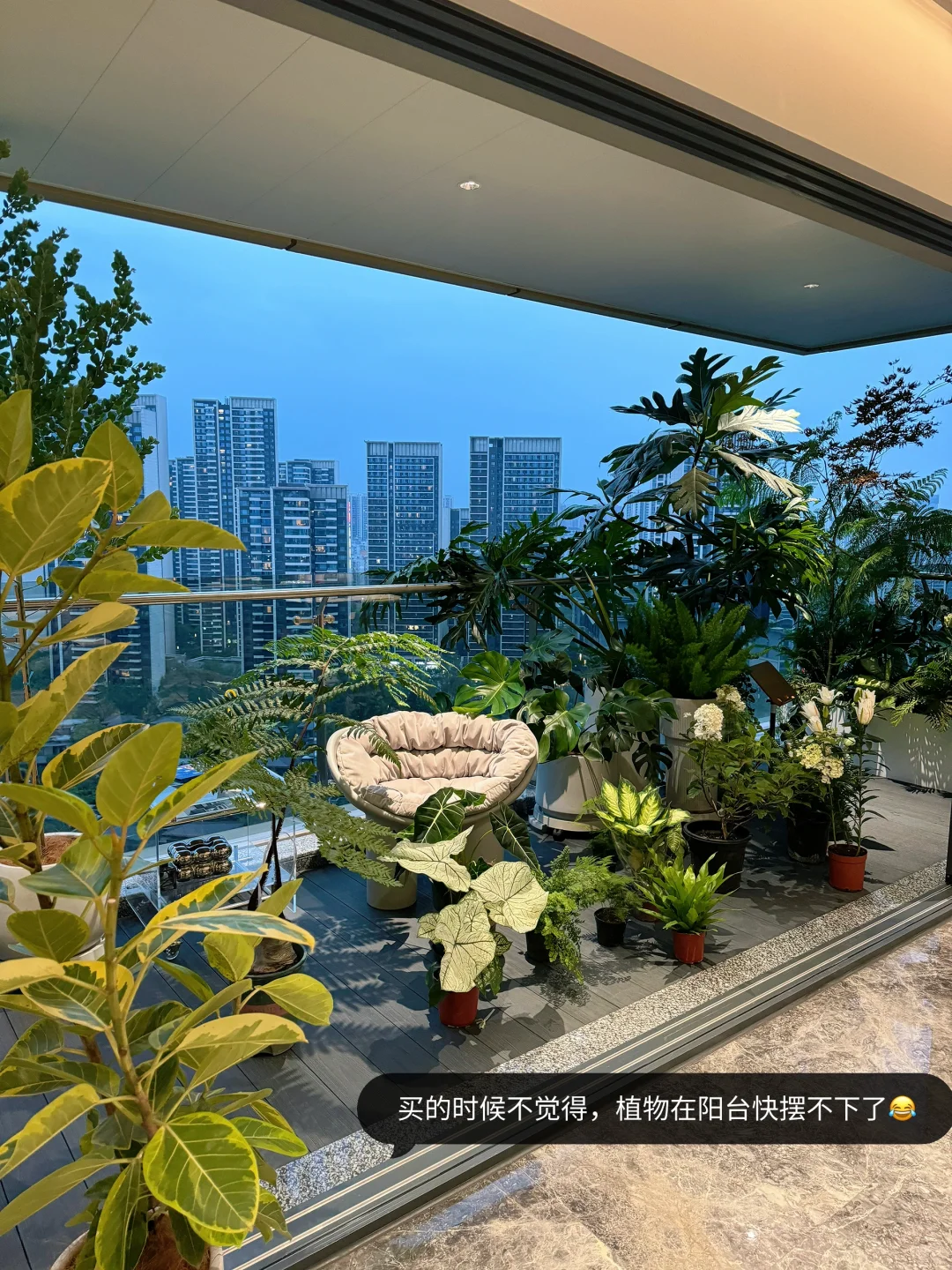 谁懂！在这个阳台我真的坐了一下午了?