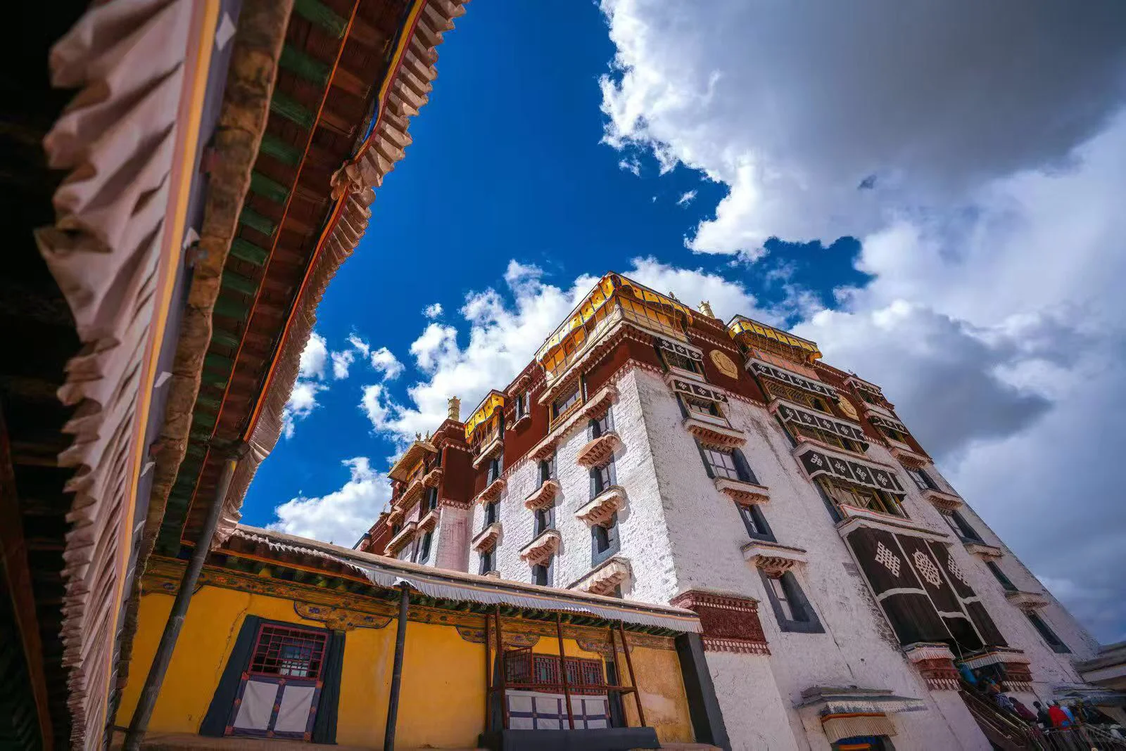 96后女生 | 沉浸式创业