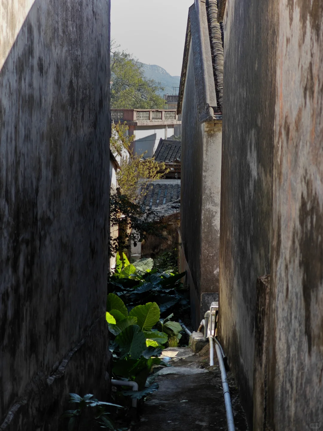 西贡村｜是他乡，也是回不去的故乡