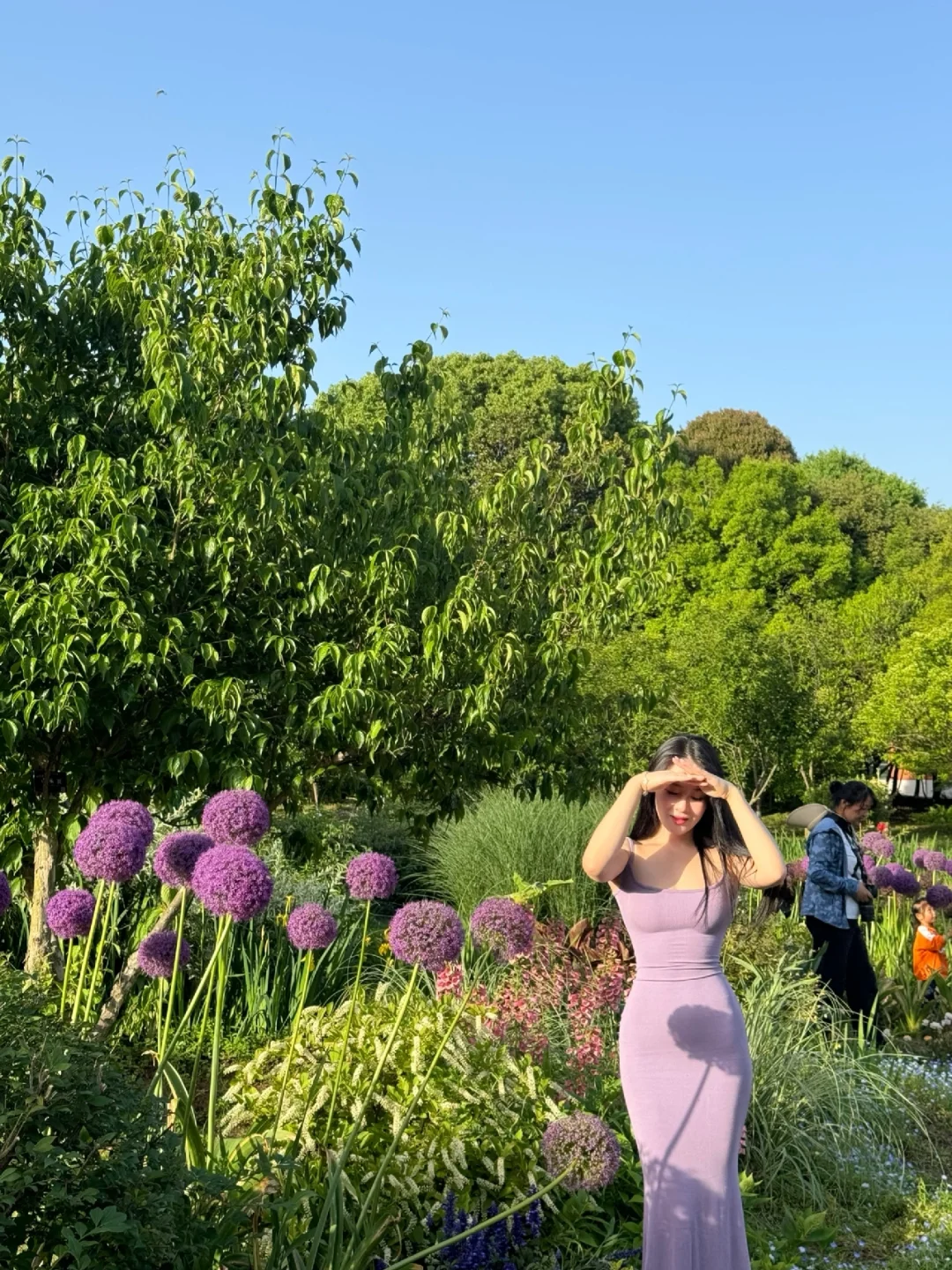 live图｜南京植物园，原来大葱花可以这么美