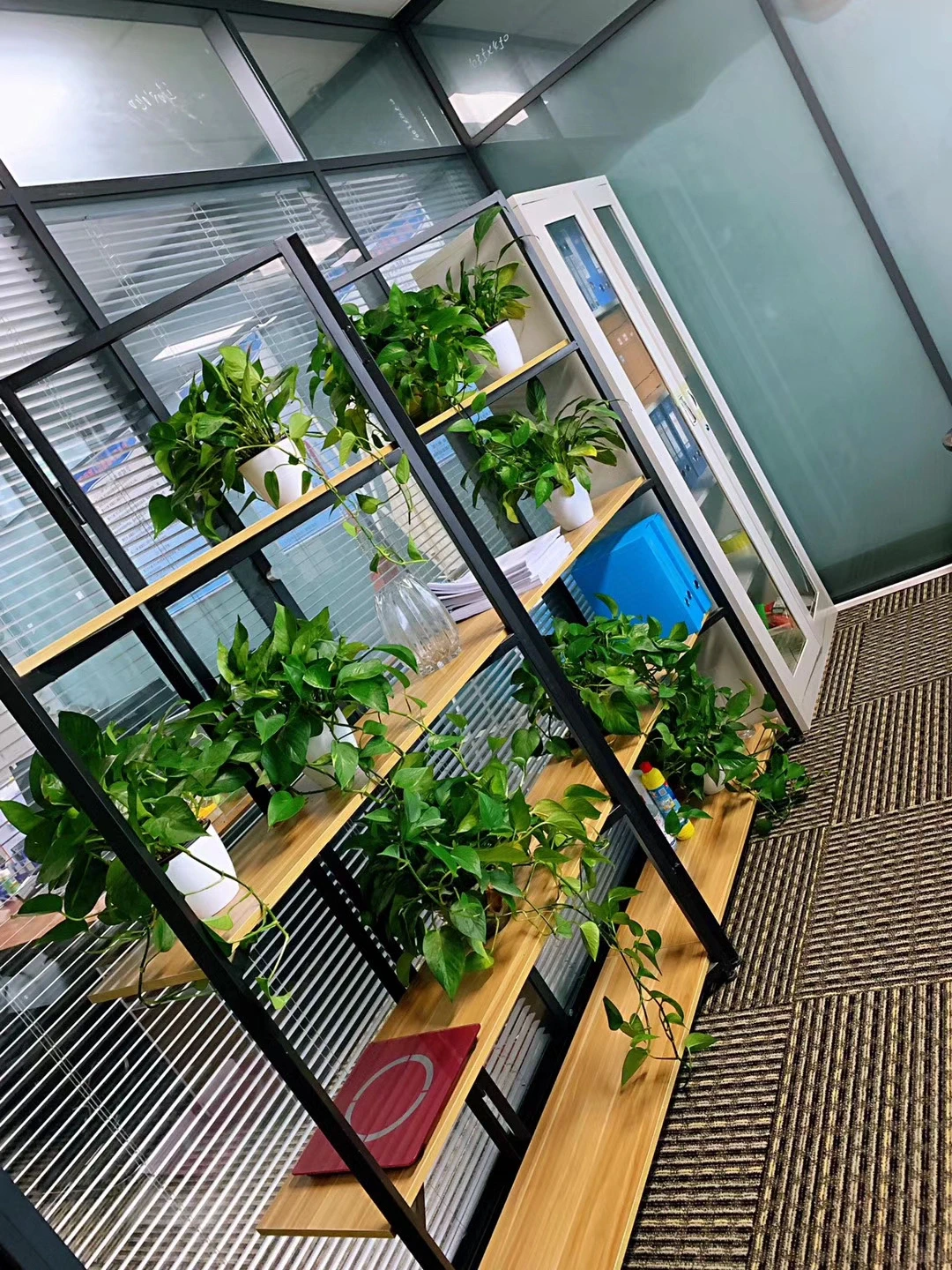 一家小有名气的代账公司，具体多小，我知道