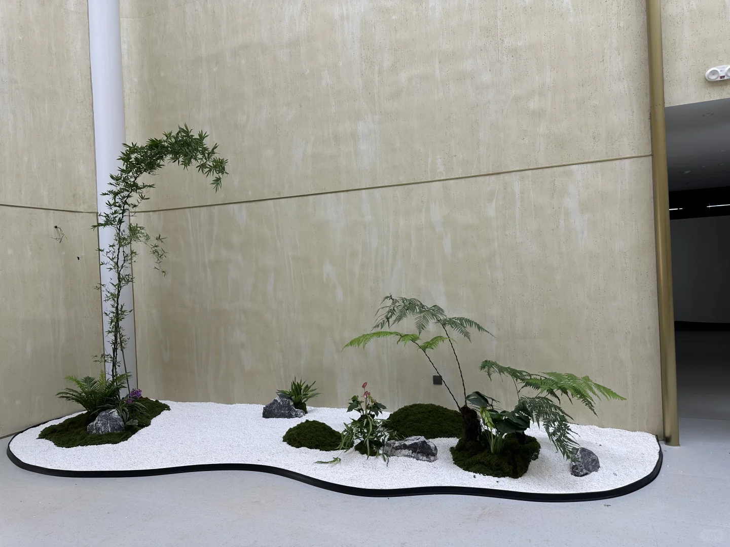 深圳绿植租赁批发，可上门设计出方案。