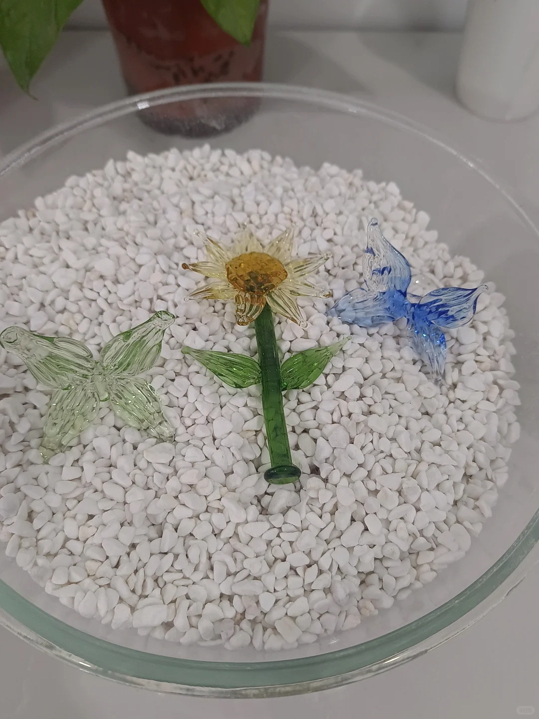 烧玻璃不限量，今日小分享！