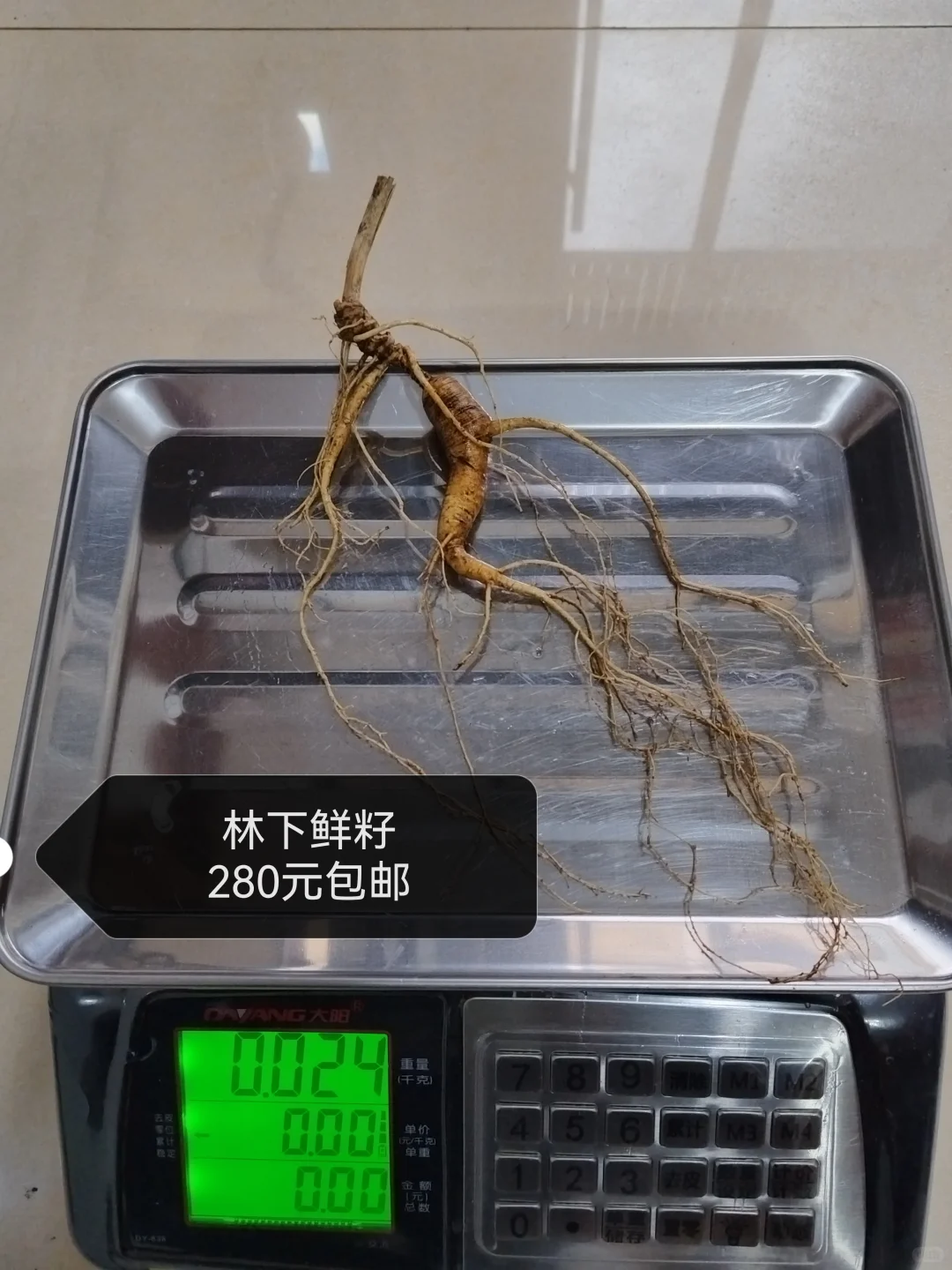 自然林下籽嘎嘎纯