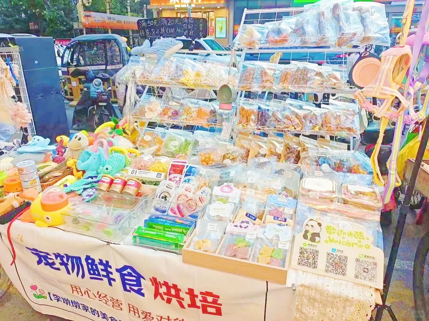 宠物摊位没货卖？这里帮你一站式解决！