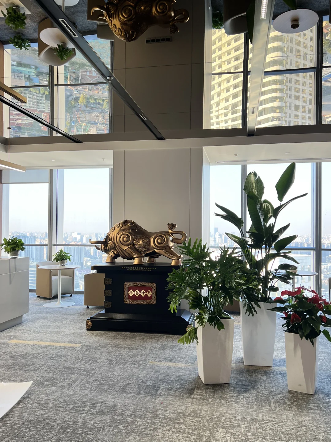 一进门就舒畅的绿植～～～