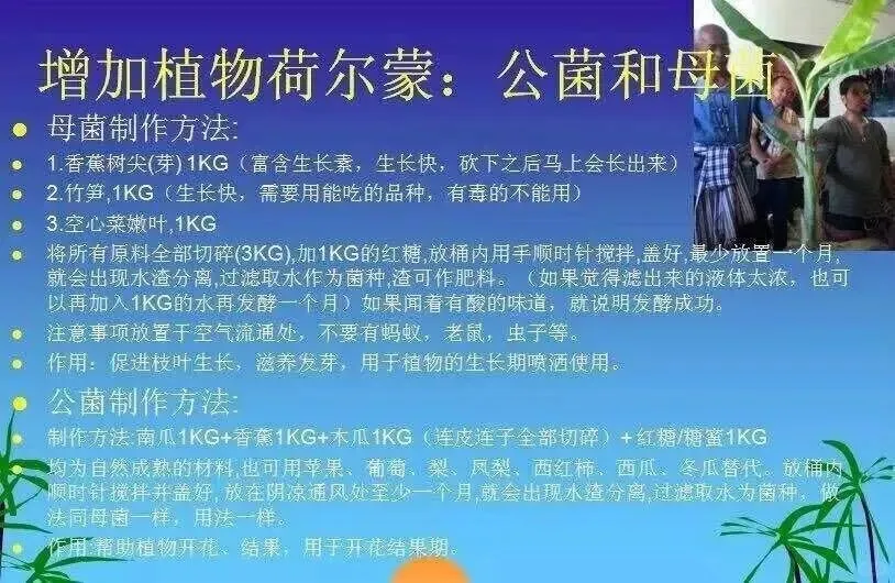 自然农耕中修复土壤的方法举例