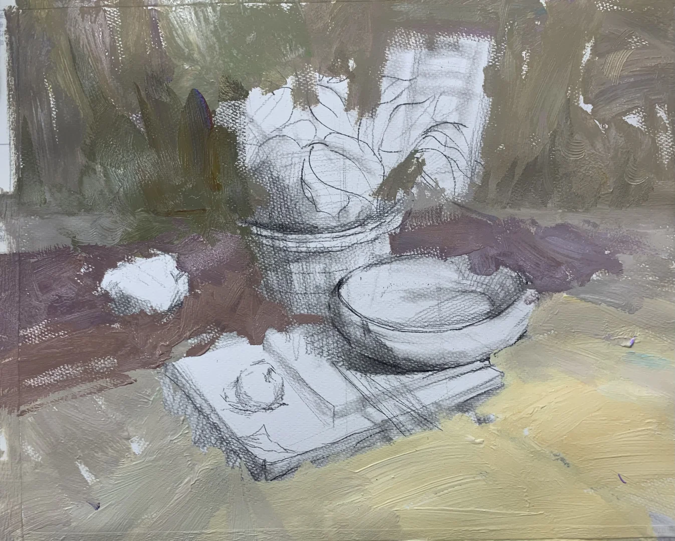 绿植色彩静物步骤