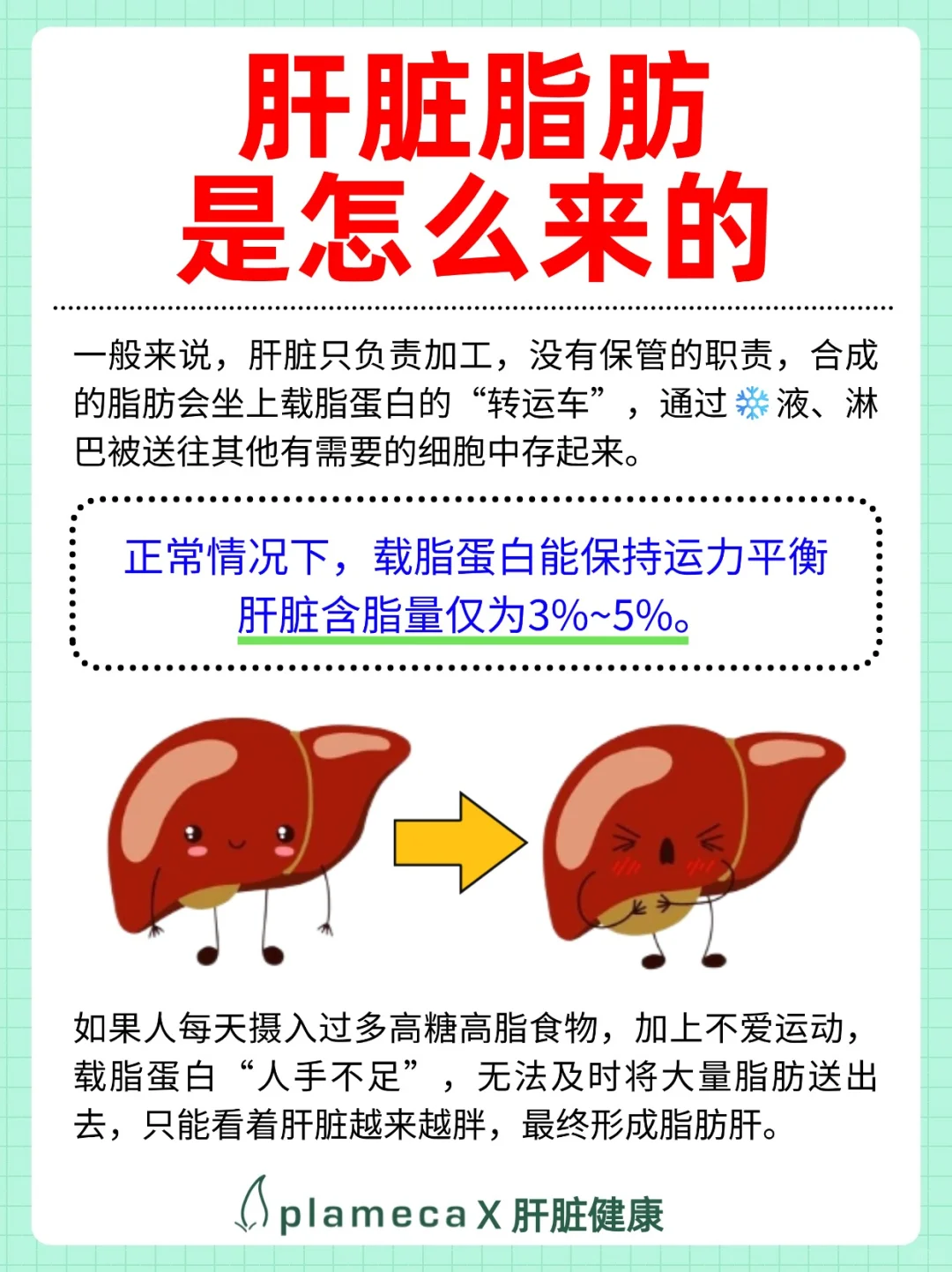 千万别搞错了！这才是肝脂肪排出的正确顺序