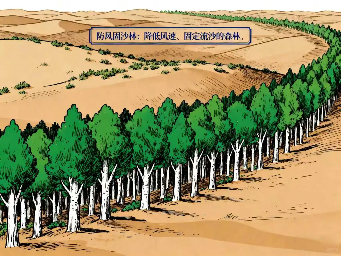 ?【师姐精讲】公益林 vs 商品林！