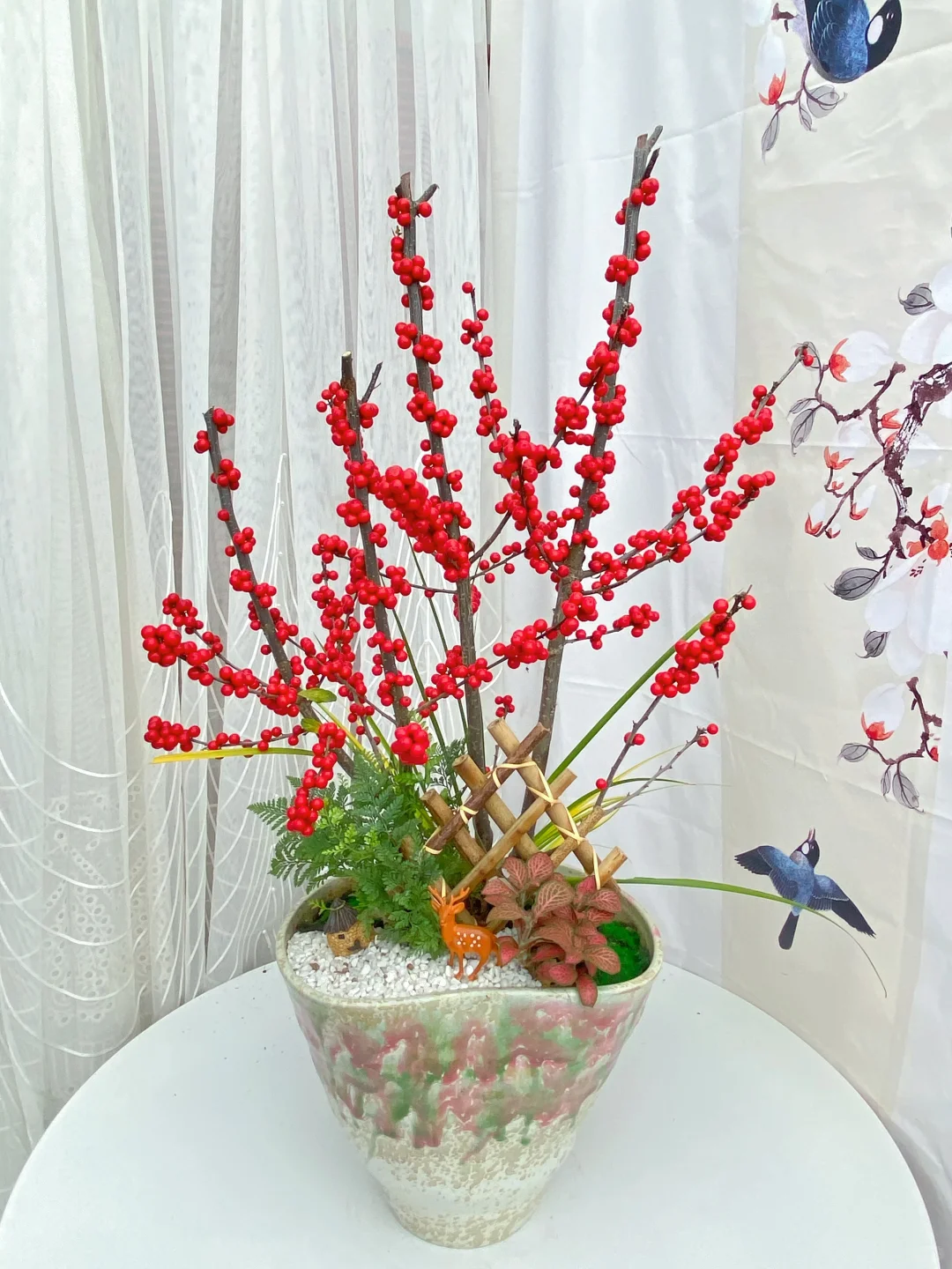 北美冬青精品盆栽上新