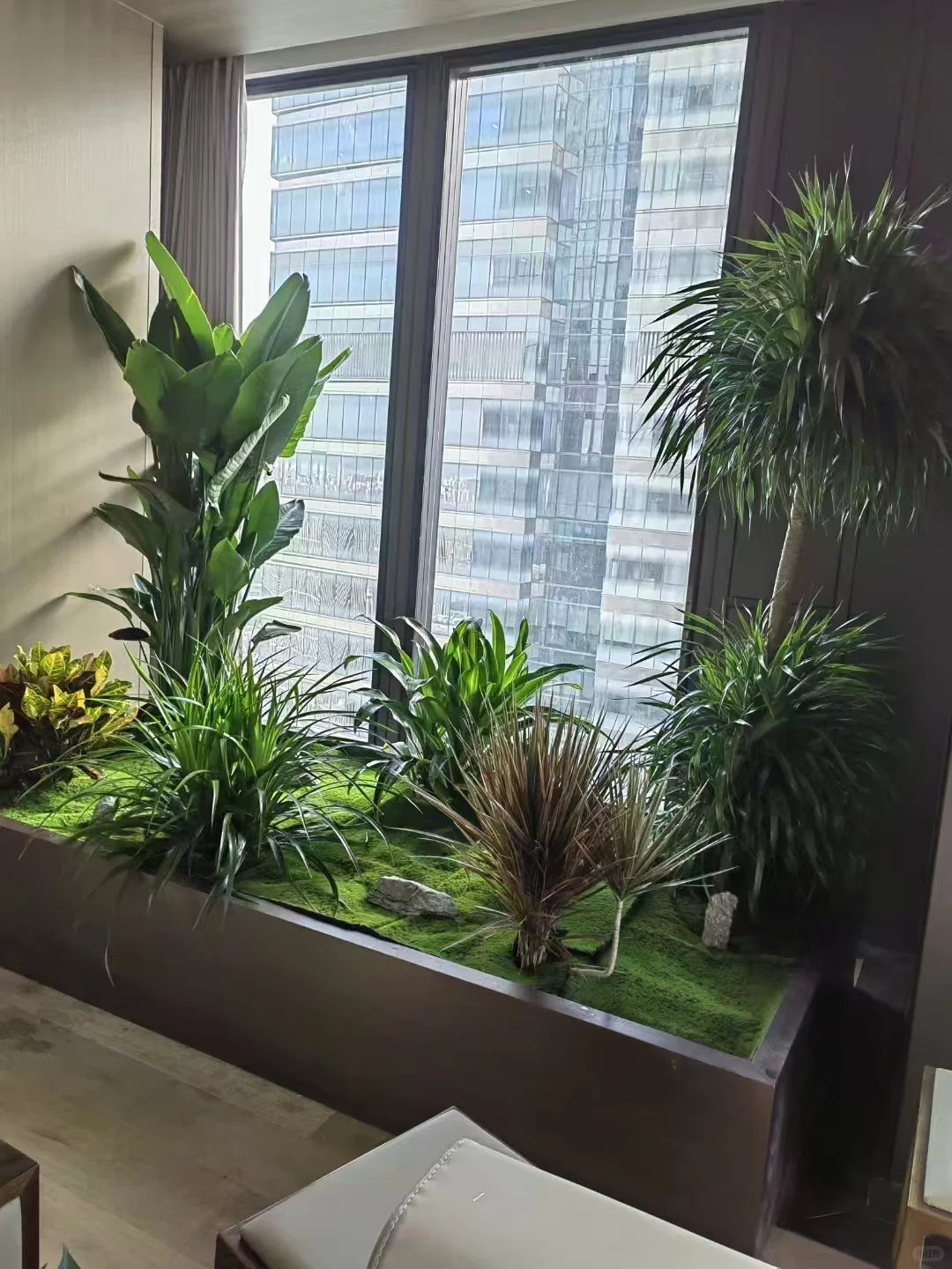 北京办公室绿植租摆