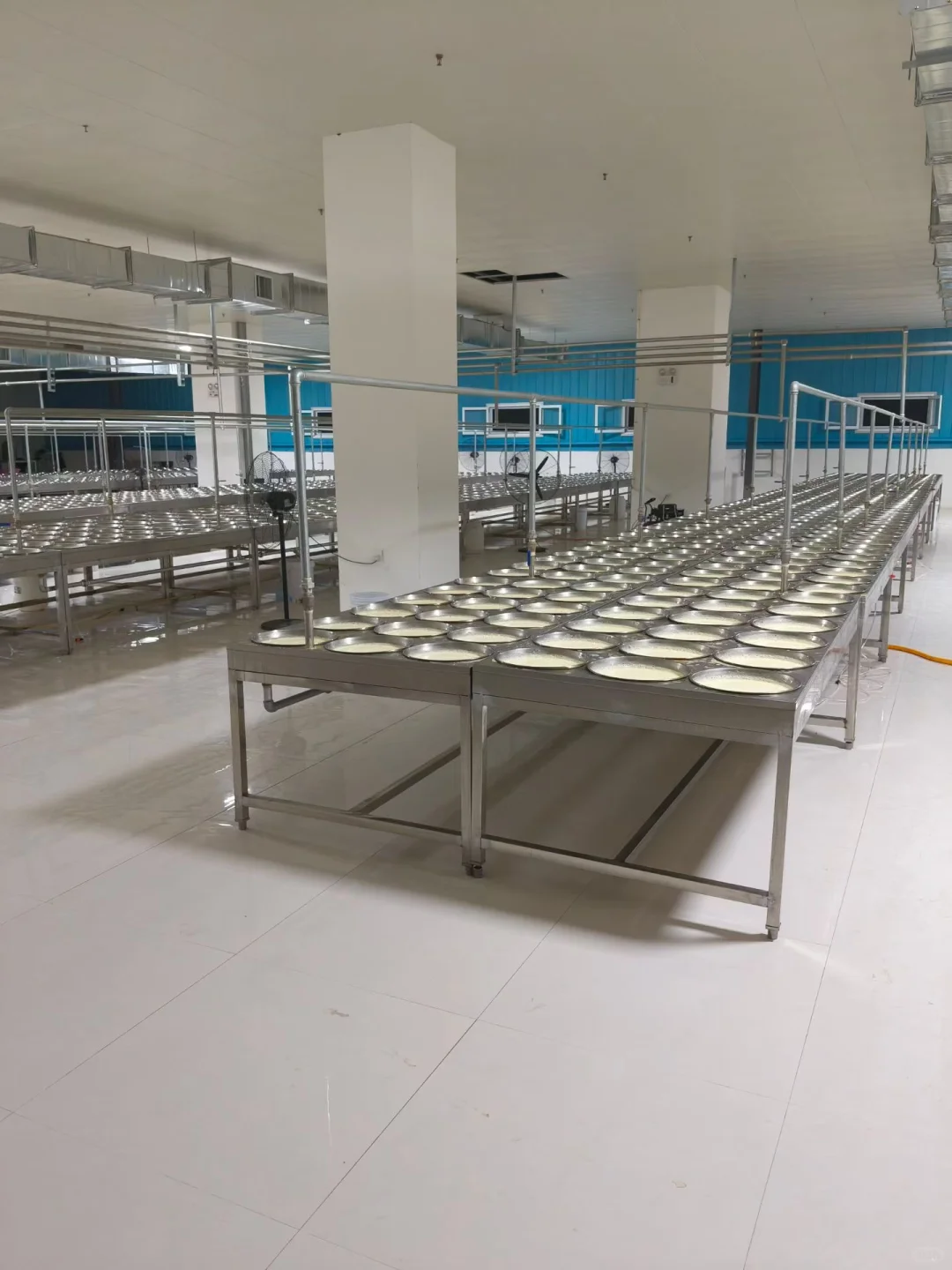 奶皮子的天花板级源头工厂！