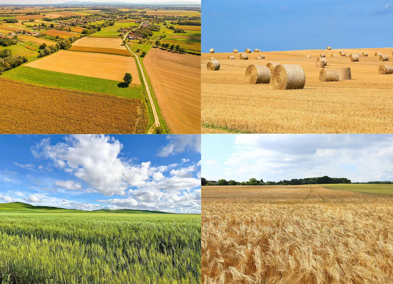 传承27年的面粉厂,每一口都是自然的味道!