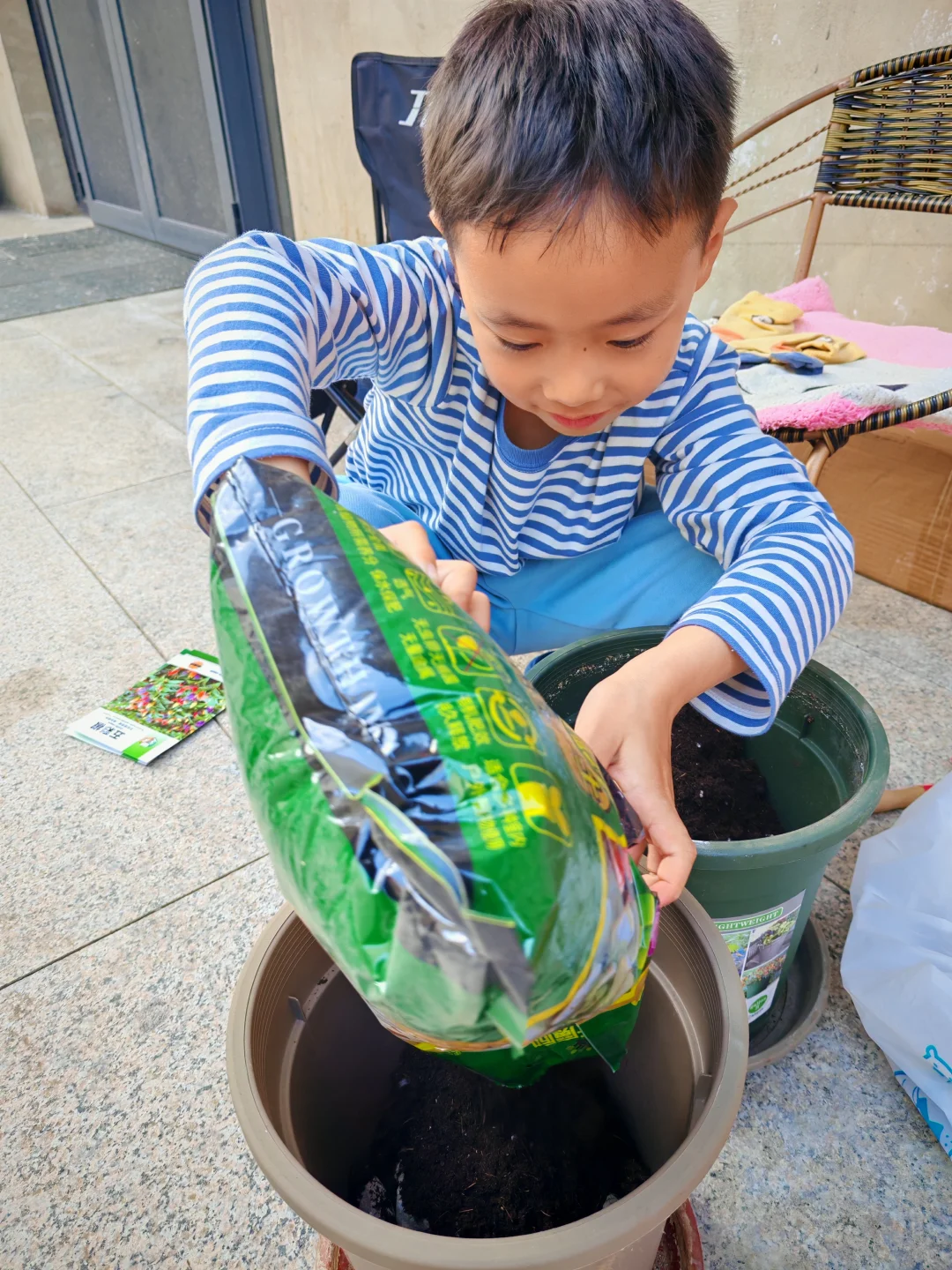 夏天到了，种点花吧！
