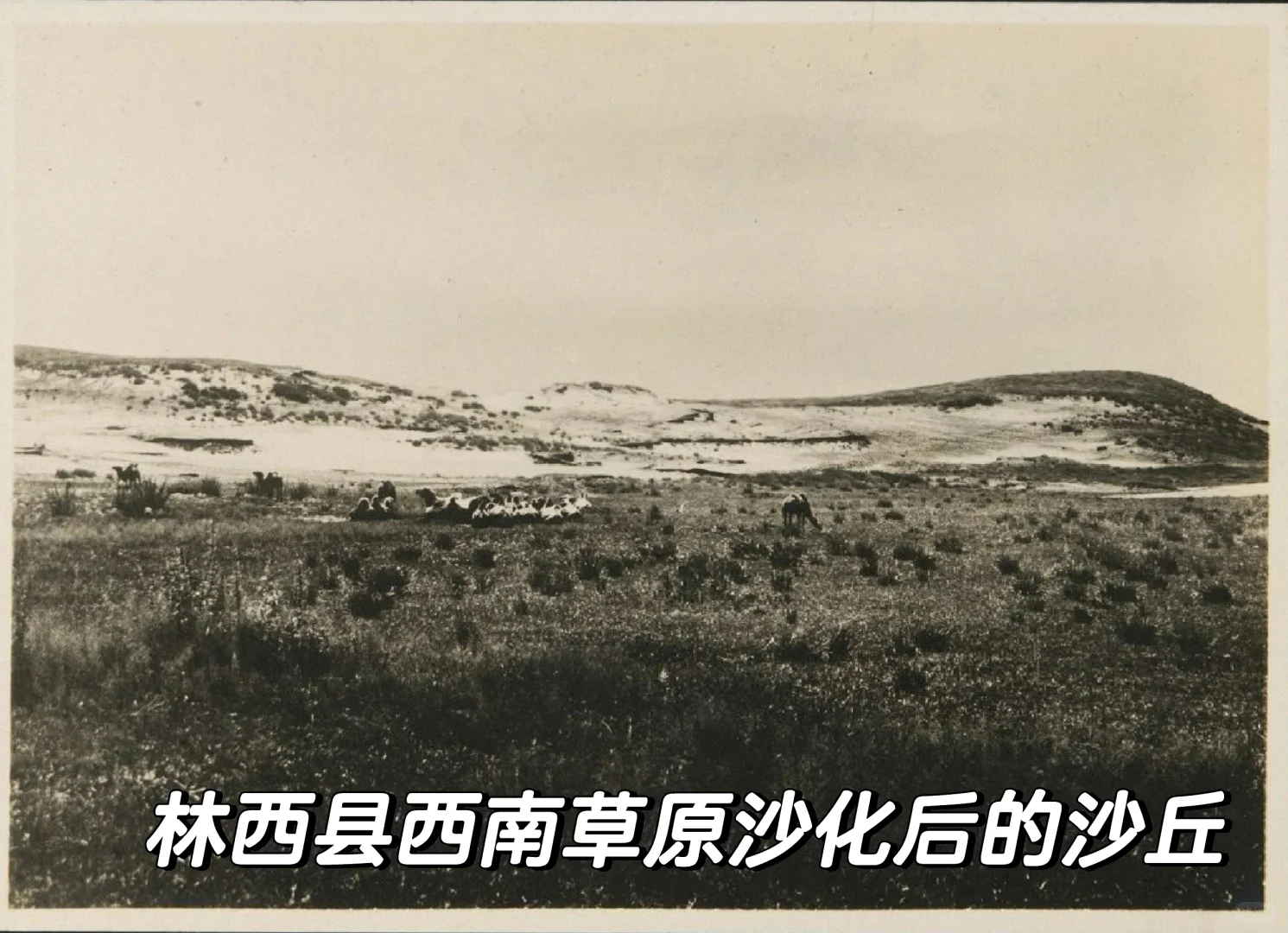 1930年代的内蒙古热河林西的百姓生活