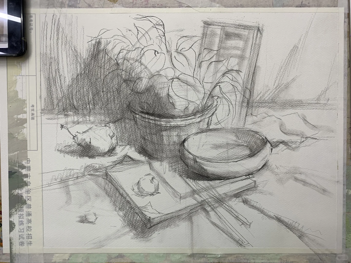 绿植色彩静物步骤