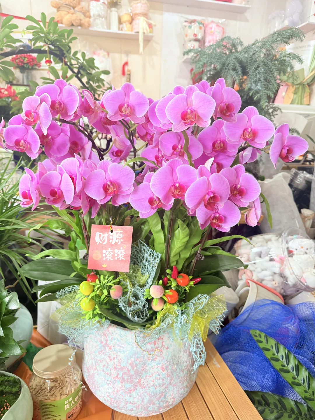 这花太漂亮了！太好拍了！