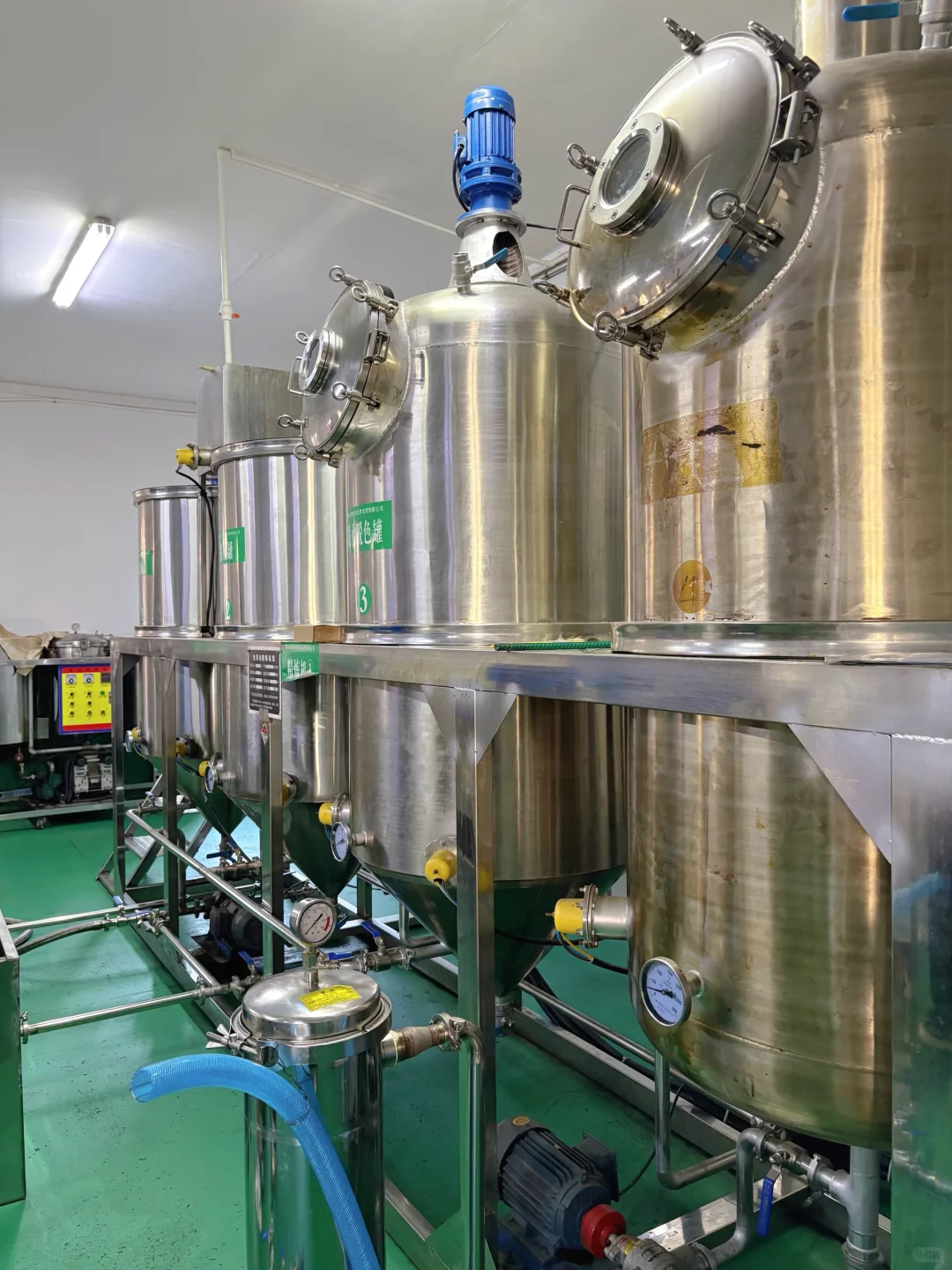 ?6000亩云雾油茶林｜问顶康源溯源之旅