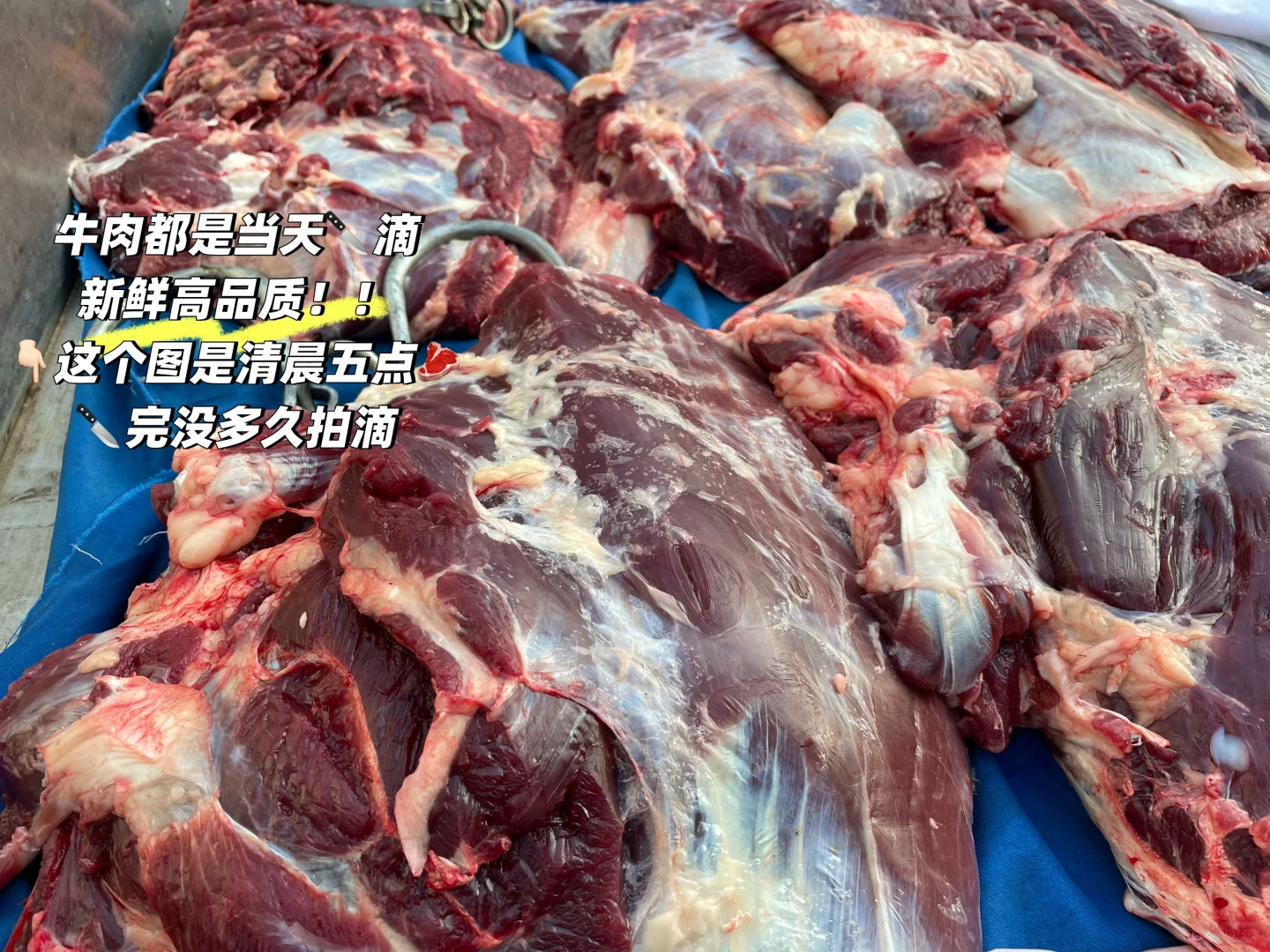 潍坊高品质牛肉来咯！！走过路过不要错过?