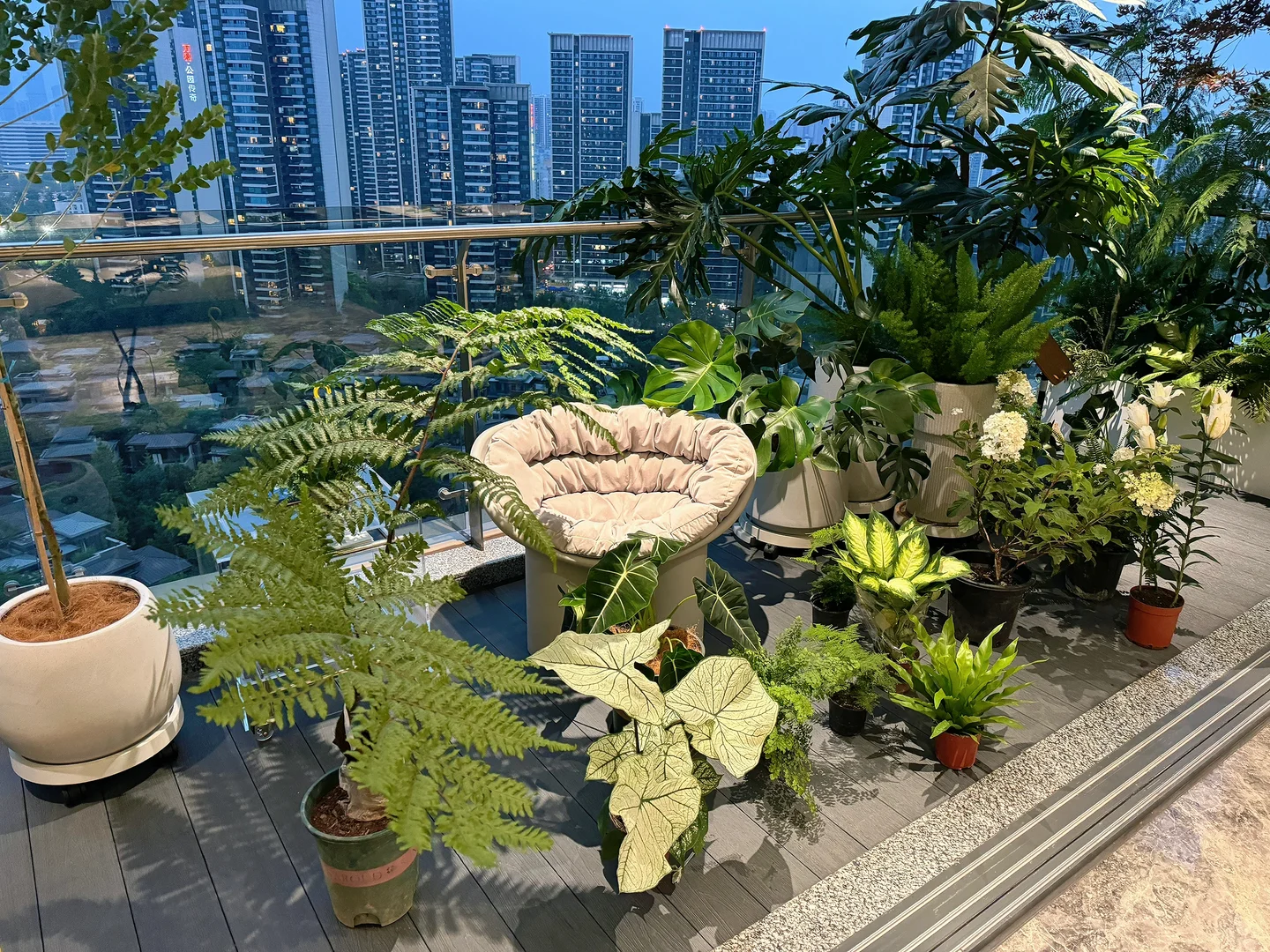 谁懂！在这个阳台我真的坐了一下午了?