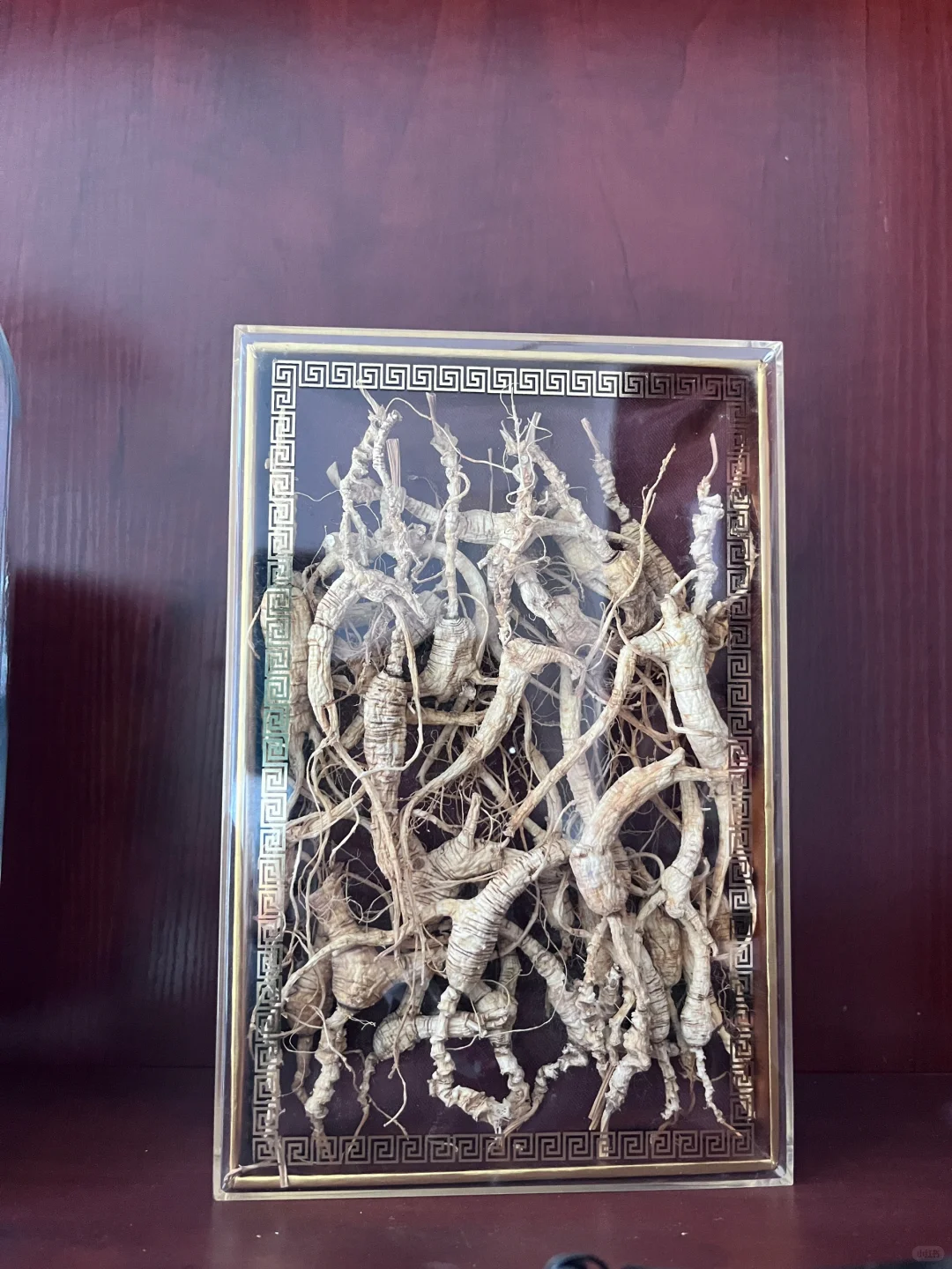 三十年的林下籽货