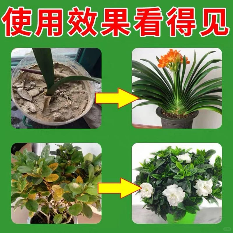 拯救板结土壤这款土壤活化剂让植物重获新生