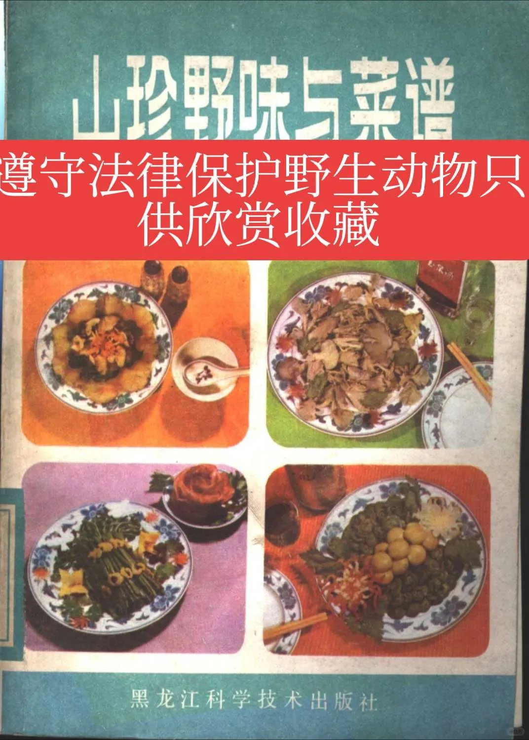 山珍野味与菜谱