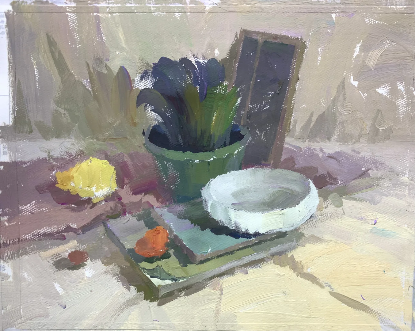 绿植色彩静物步骤