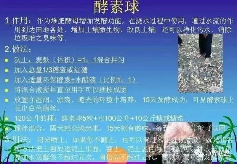 自然农耕中修复土壤的方法举例