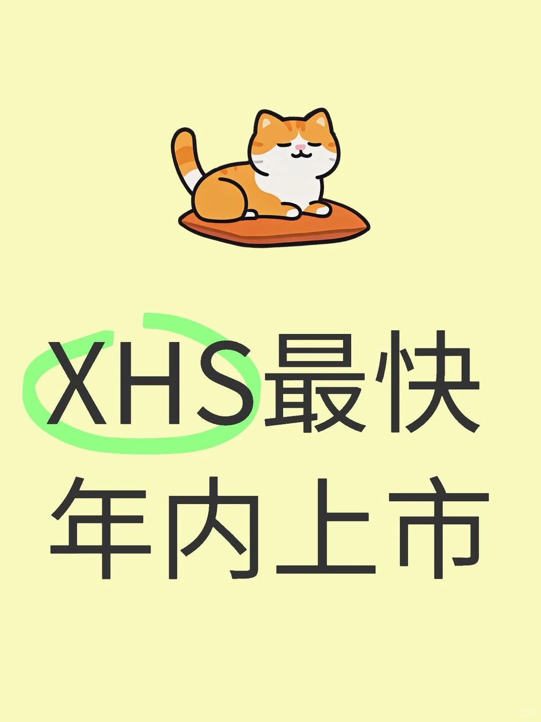 XHS最快年内上市