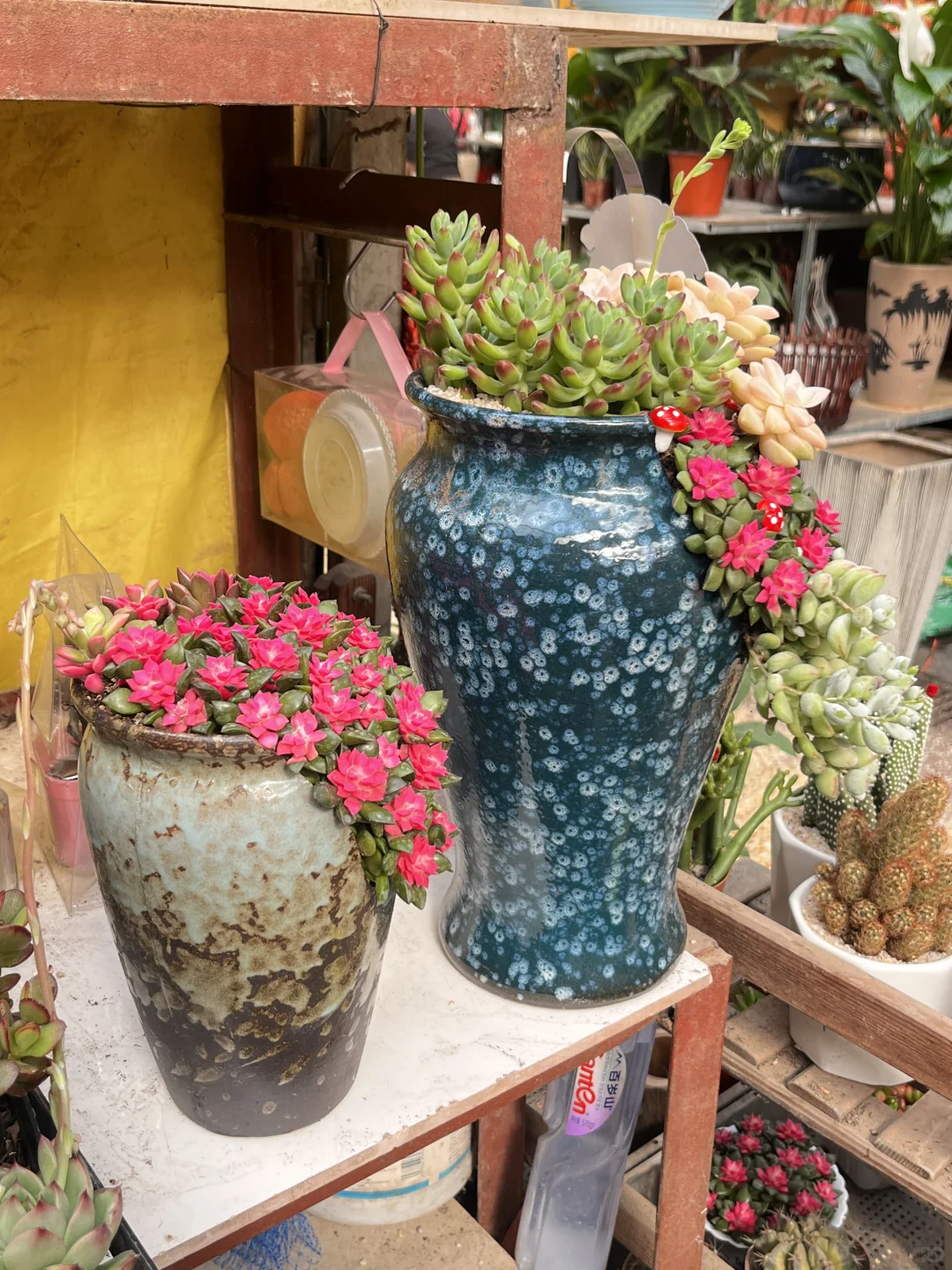 花市，春天最值得去的地方?