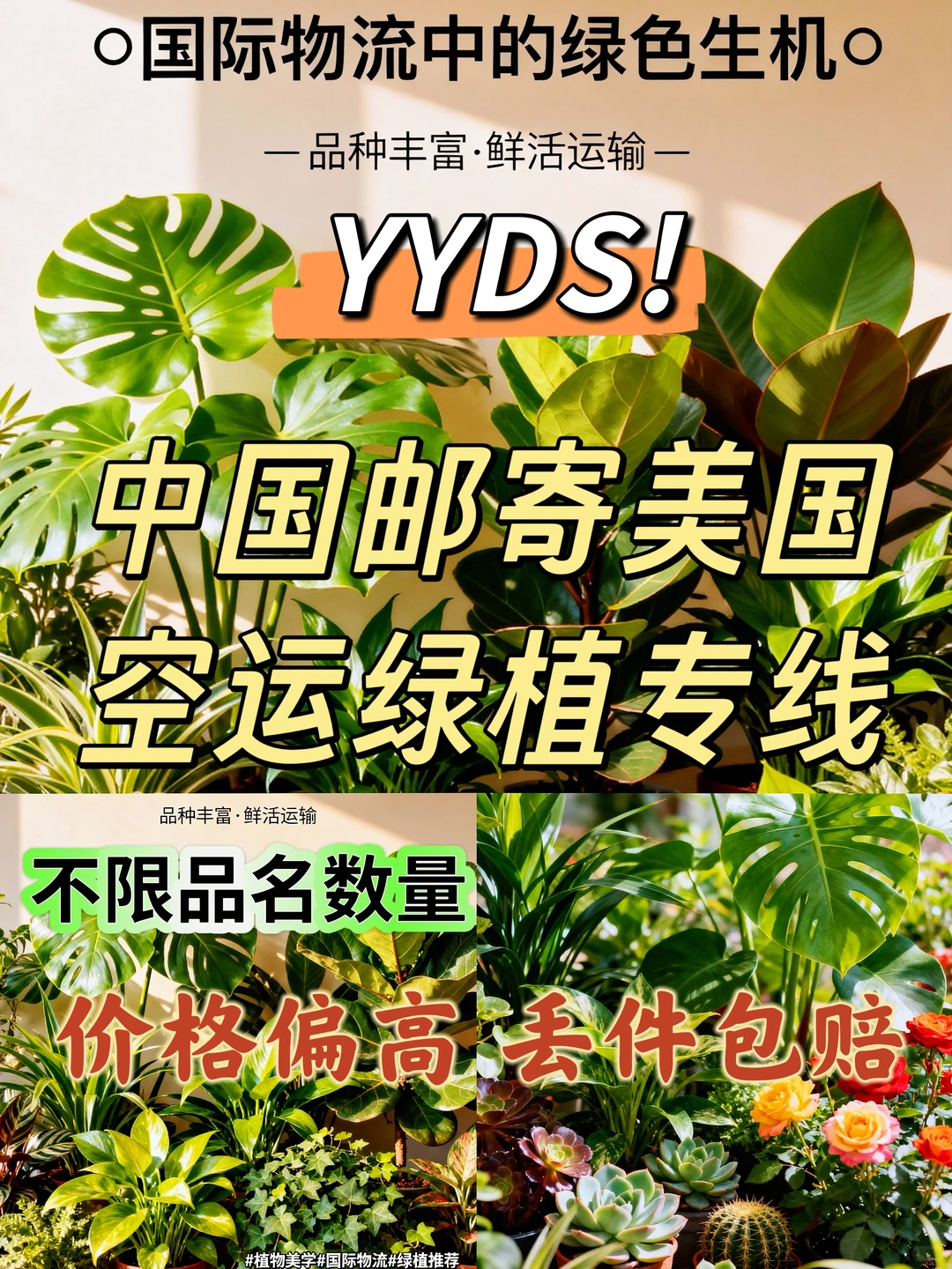 ?【把整个春天打包寄去美国？我的绿植跨境日