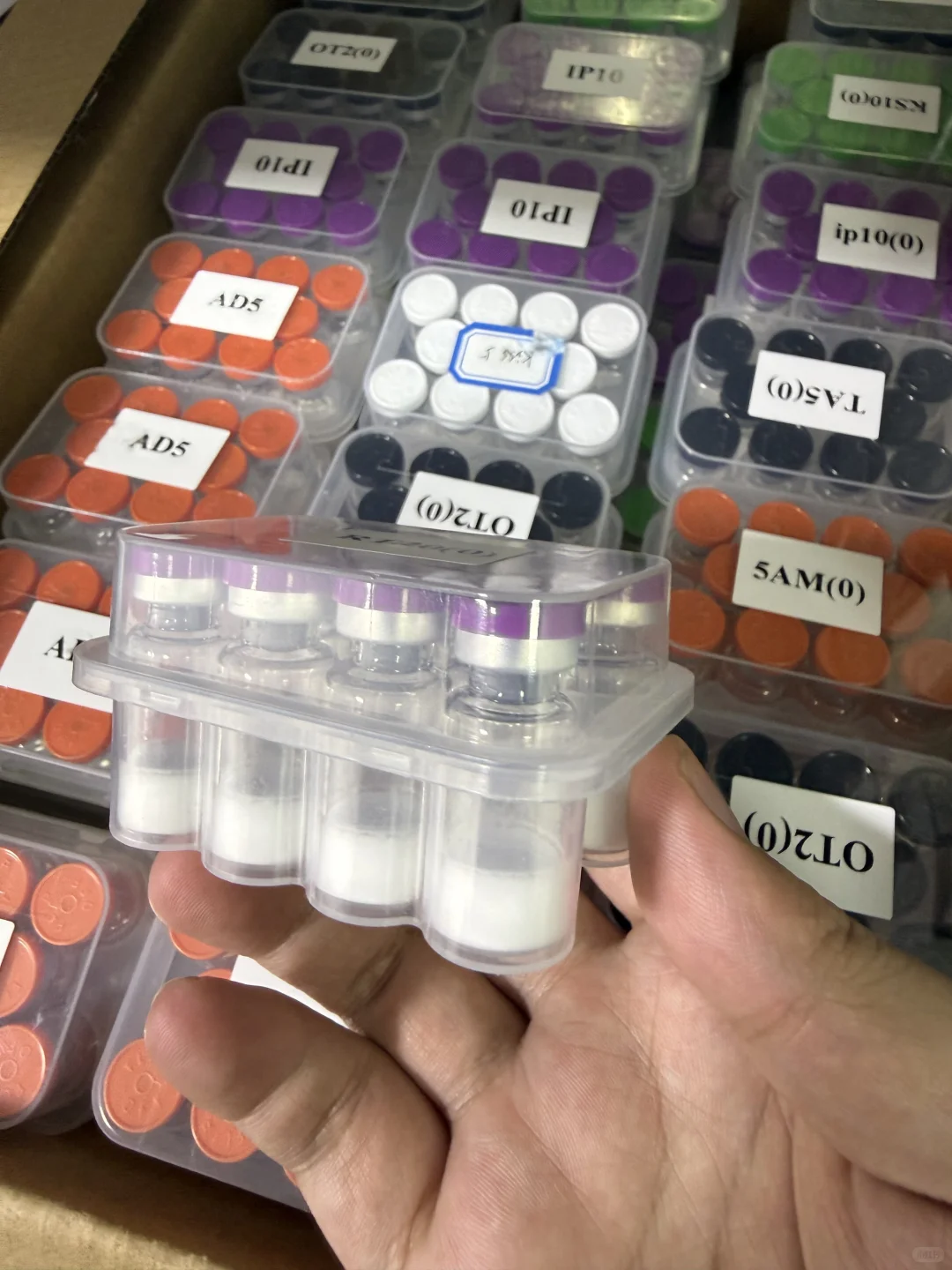 高品质冻干粉直销 找供应商就找源头